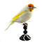Mounted goldfinch