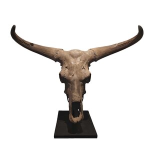 Fossilized aurochs