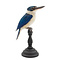 Mounted Collared kingfisher