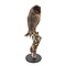 Mounted black barnowl