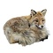Mounted fox (lying)
