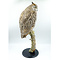 Mounted Canadian Eagle Owl