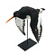 Mounted Eurasian oystercatcher