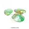Bivalvia shell (green)