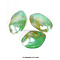 Bivalvia shell (green)