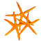 Orange starfish