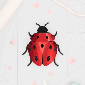 DIY kit - Lady bug