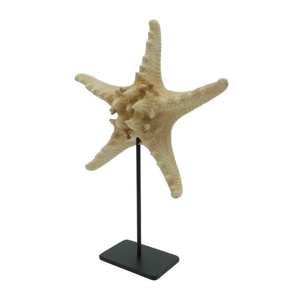 Zeester zand op metalen sokkel