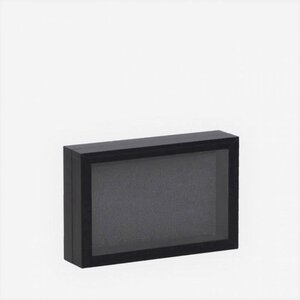 Elegant black insect box 15 x 18 cm with hook