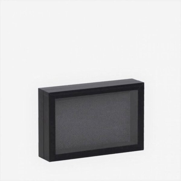 De museumwinkel.com Elegant black insect box 15 x 18 cm with hook