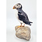 Mounted puffin