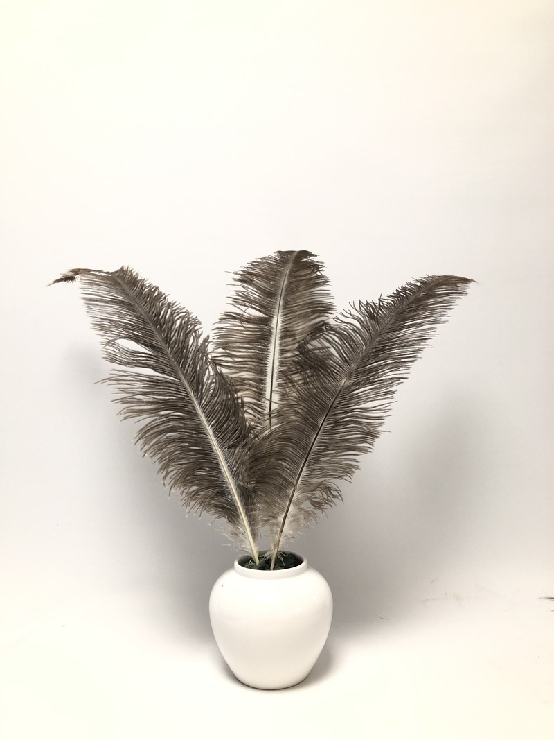  Feathers For Vase