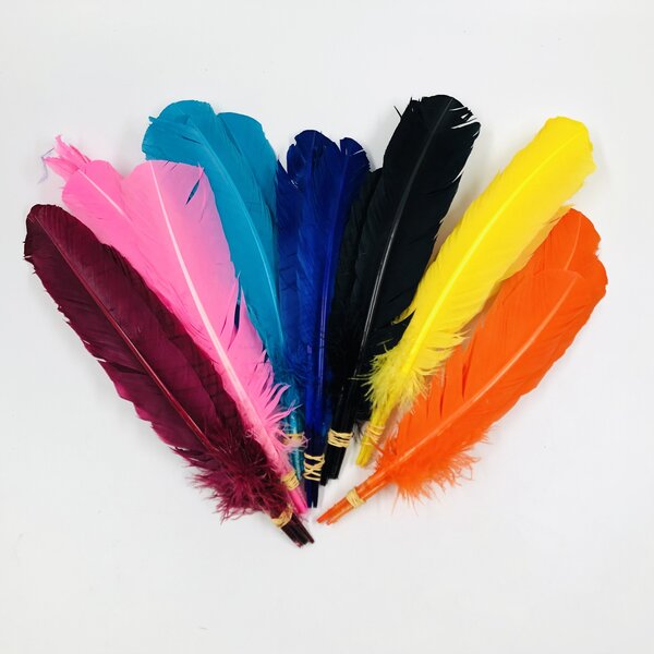 Coloured feathers (5pcs)