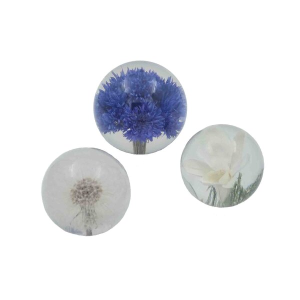 Briefbeschwerer mit Löwenzahn (klein)