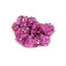 Chalcanthite pink