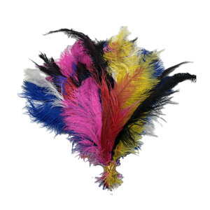 Bundle of ostrich feathers B-grade