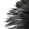 Feather garland Rooster - black