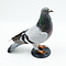 Mounted pigeon