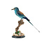 Mounted European roller A