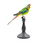 Mounted swallow parrot on pedestal (C)