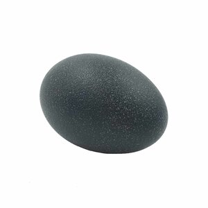 Emu egg