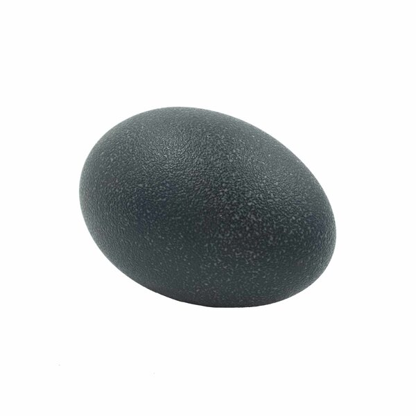 Großer Emu ei