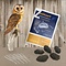 Dissection kit: 5 barn owl pellets, 5 tweezers and determination sheet (Dutch)