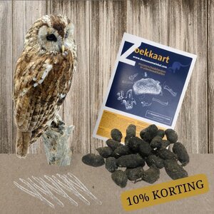 Dissection kit: 25 tawny owl pellets, 5 tweezers and determination sheet (Dutch)