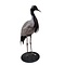 Mounted demoiselle crane (B)