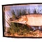 Mounted pike in glass case