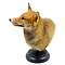 Mounted fox (trophy on base)