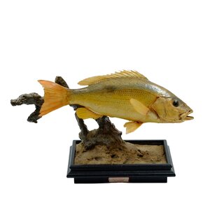 Mounted bass