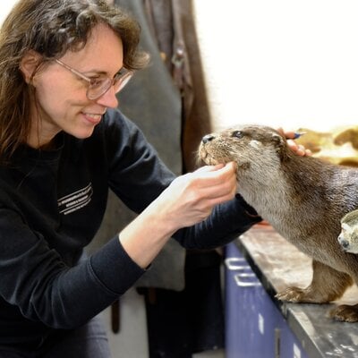 1 May - Demo day with our taxidermist, Daphne.