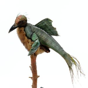 Taxidermie fantasiedieren (D)