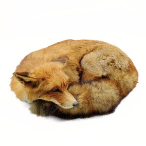 Mounted fox (lying)