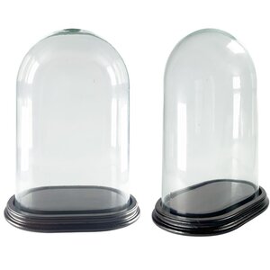 Glass dome oval - 20 x 12 cm