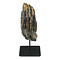 Fossil mammoth tooth on stand (B)