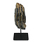 Fossil mammoth tooth on stand (B)