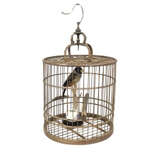 Antique birdcage A