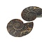 Fossil split ammonite couple (medium)