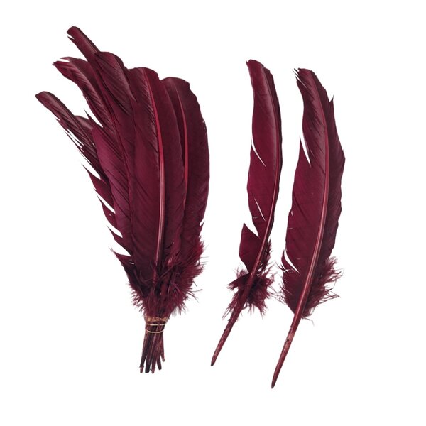 Coloured feathers (5pcs)