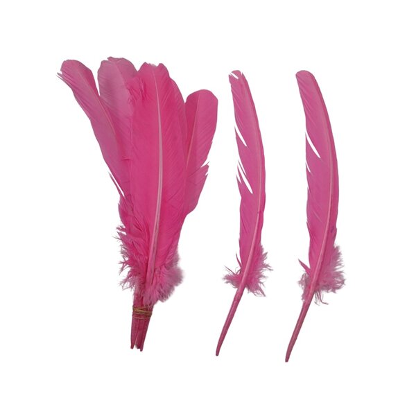 Coloured feathers (5pcs)