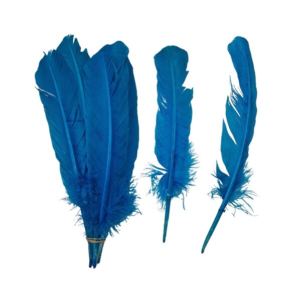 Coloured feathers (5pcs)
