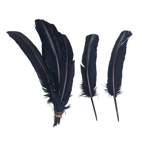 Coloured feathers (5pcs)
