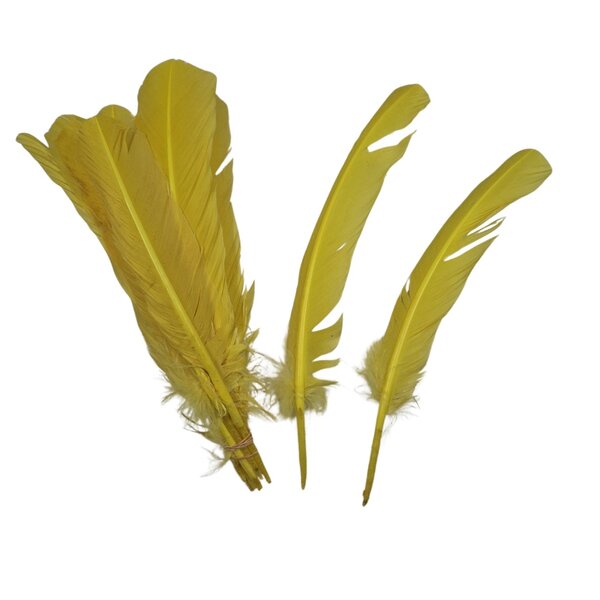 Coloured feathers (5pcs)