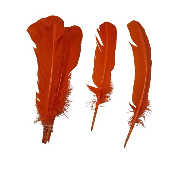 Coloured feathers (5pcs)