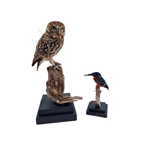 Vierkante houten voet (zwart) 20x20cm