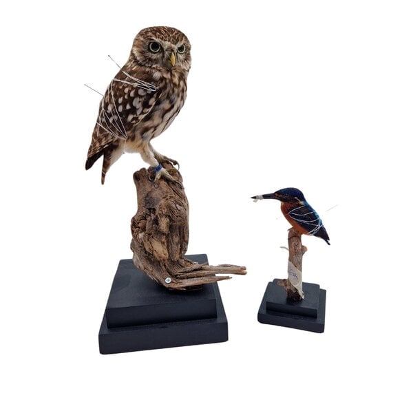 Square wooden pedestal (black) 30x30cm