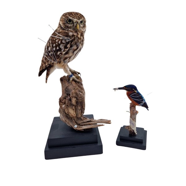 Vierkante houtenvoet (zwart)  30x30cm