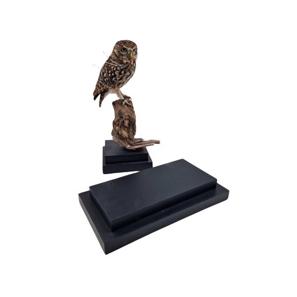 Rectangular wooden pedestal (black) 11x19cm